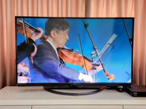 20250918_104450.jpgはまべ2-ok