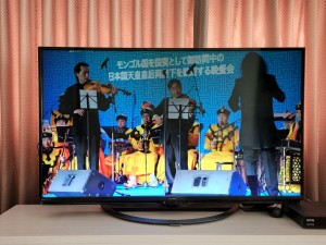 20250918_104518.jpgはまべ1-ok