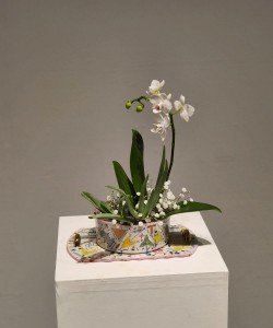 20251009_141906.jpgコピー白.jpg-ok