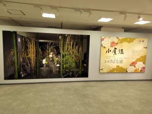 20251009_142622.jpgはな-ok